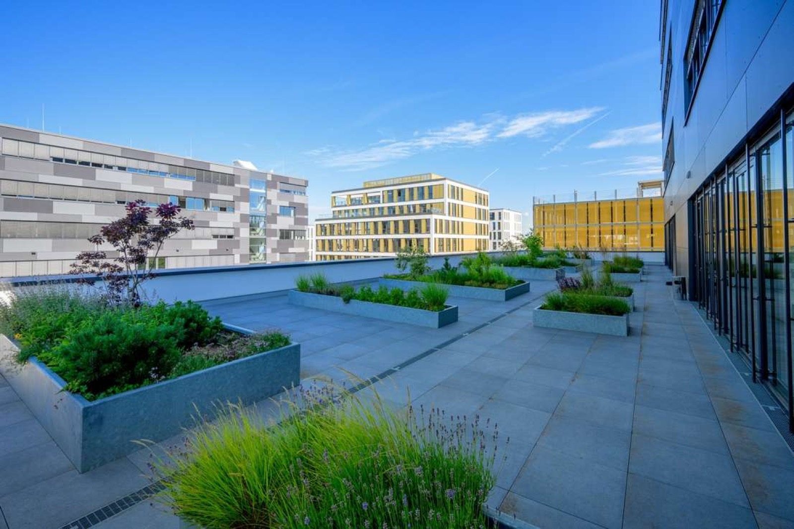 Begrünte Dachterrasse